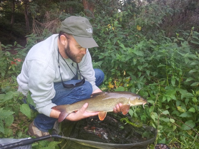 Wandle Barbel