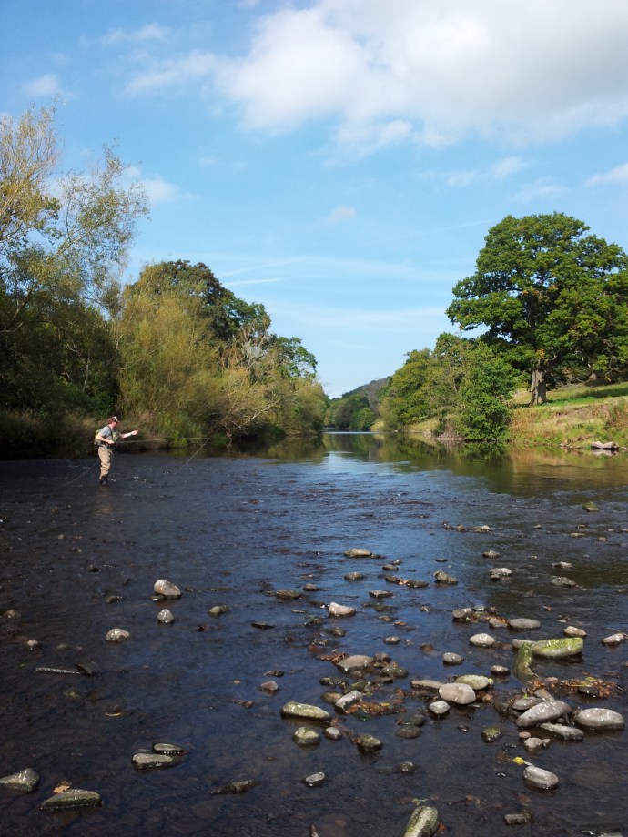 River Usk Trout Fishing