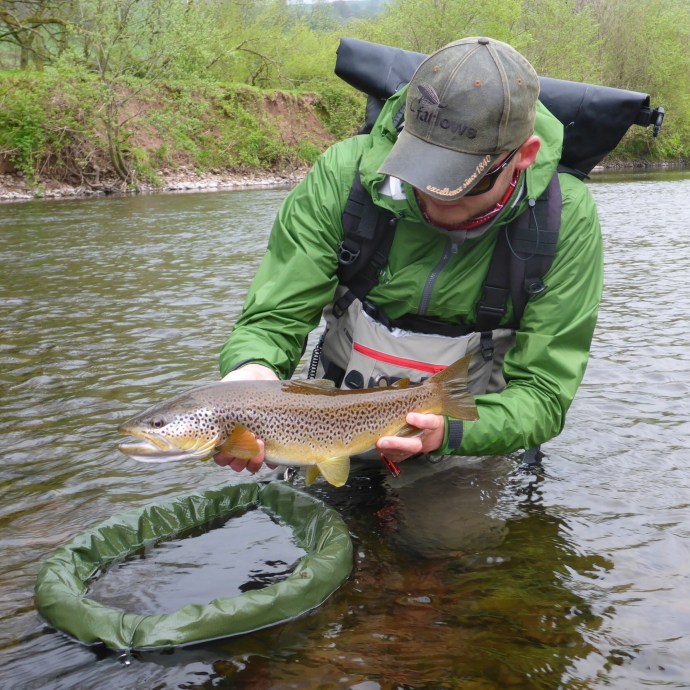 A real horse of a fish, and in such great condition too