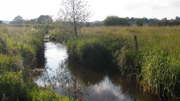 The 10' 3# can stay in the car...