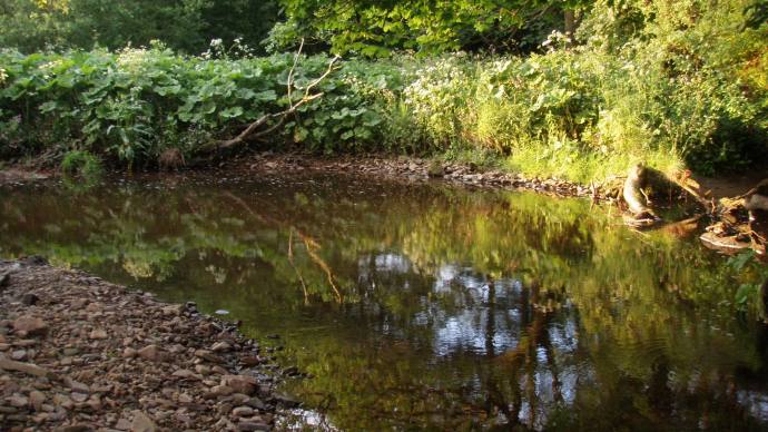 "Horse Pool" - there seems to be a few of these on every river and you always know when you've found it