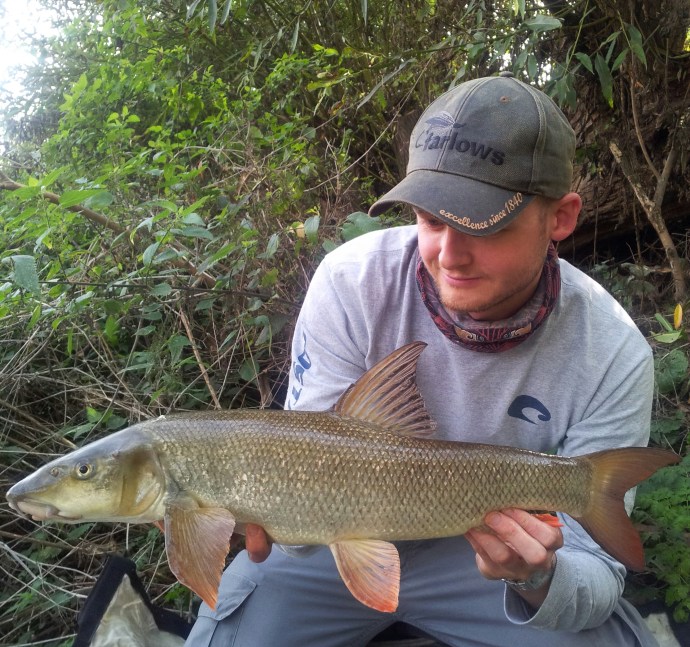 Three years of toil and finally a Wandle barbel!