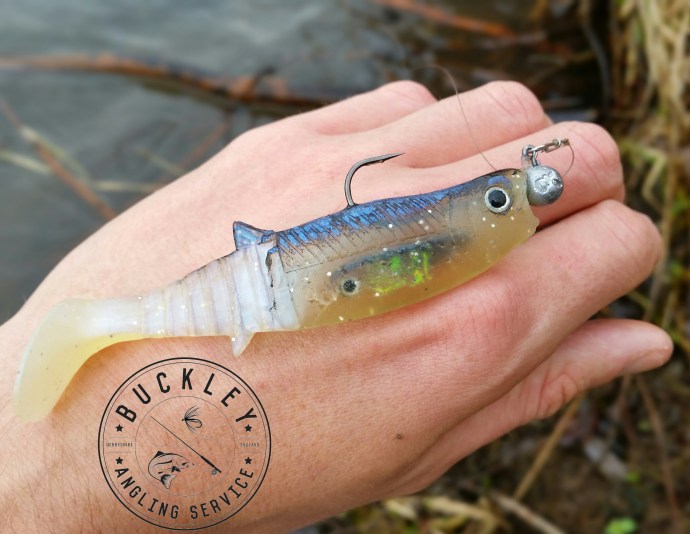 Cannibal Shad perch pike lure fishing spinning