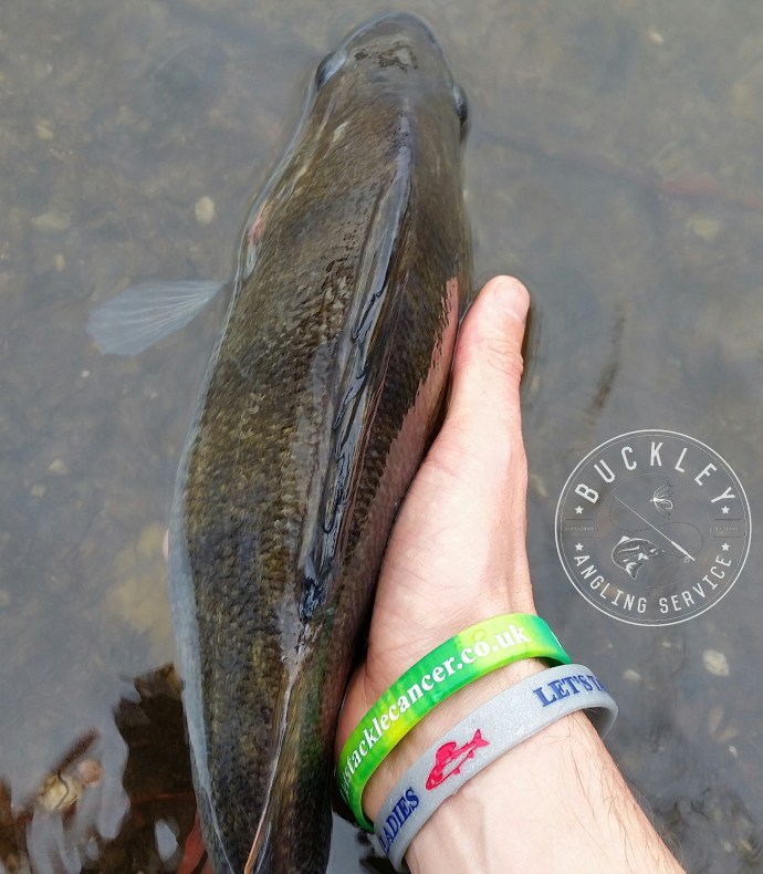 Pike perch savage gear lure fishing